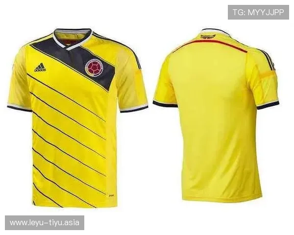 奥地利世界杯球衣最新款式全景解析与设计理念介绍